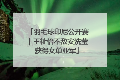 羽毛球印尼公开赛｜王祉怡不敌安洗莹 获得女单亚军