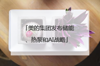 美的集团发布储能、热泵和AI战略