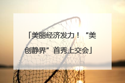 美丽经济发力！“美创静界”首秀上交会