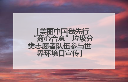 美丽中国我先行 “菏心合意”垃圾分类志愿者队伍参与世界环境日宣传