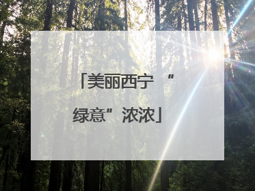 美丽西宁 “绿意”浓浓