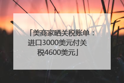 美商家晒关税账单：进口3000美元付关税4600美元