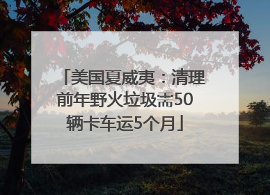 美国夏威夷：清理前年野火垃圾需50辆卡车运5个月
