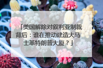 美国解除对叙利亚制裁背后：谁在推动建造大马士革特朗普大厦？