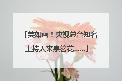 美如画！央视总台知名主持人来泉簪花……