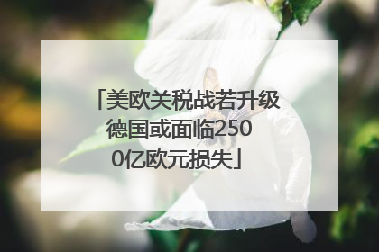 美欧关税战若升级 德国或面临2500亿欧元损失