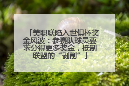 美职联陷入世俱杯奖金风波：参赛队球员要求分得更多奖金，抵制联盟的“剥削”