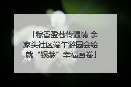 粽香盈巷传温情 余家头社区端午游园会绘就“银龄”幸福画卷