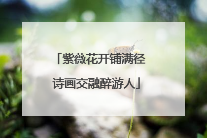 紫薇花开铺满径 诗画交融醉游人