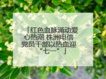 红色血脉涌动爱心热潮 株洲电信党员干部以热血迎“七一”