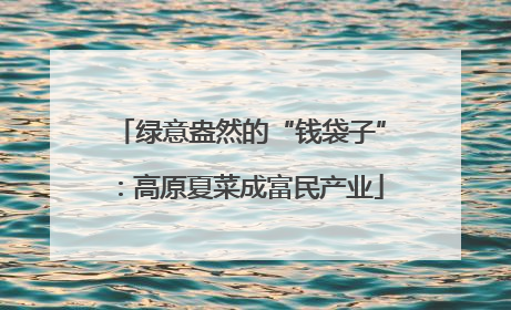 绿意盎然的“钱袋子”：高原夏菜成富民产业
