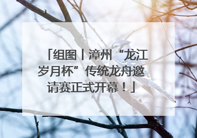 组图丨漳州“龙江岁月杯”传统龙舟邀请赛正式开幕！