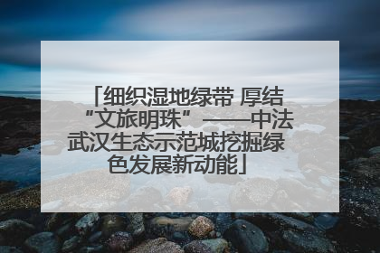 细织湿地绿带 厚结“文旅明珠”——中法武汉生态示范城挖掘绿色发展新动能