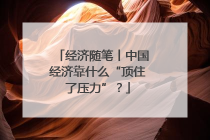 经济随笔丨中国经济靠什么“顶住了压力”？