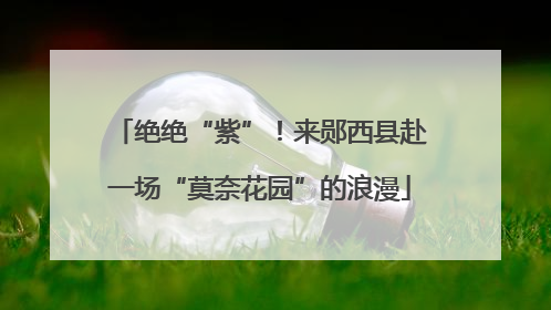 绝绝“紫”！来郧西县赴一场“莫奈花园”的浪漫