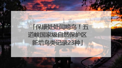 保康处处闻啼鸟！五道峡国家级自然保护区新增鸟类记录23种