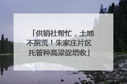 供销社帮忙，土地不撂荒！朱家庄片区托管种高粱促增收