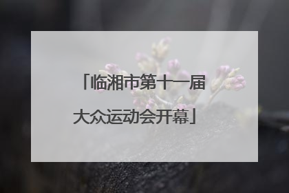 临湘市第十一届大众运动会开幕