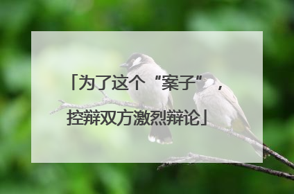为了这个“案子”，控辩双方激烈辩论