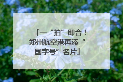 一“拍”即合！郑州航空港再添“国字号”名片