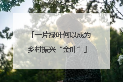 一片绿叶何以成为乡村振兴“金叶”