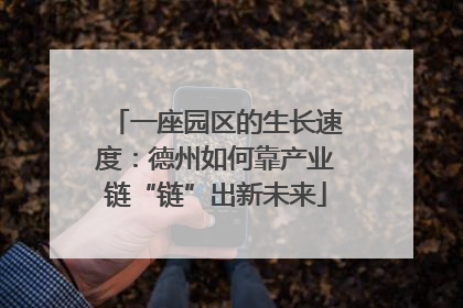一座园区的生长速度：德州如何靠产业链“链”出新未来