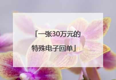一张30万元的特殊电子回单
