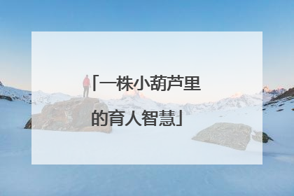 一株小葫芦里的育人智慧