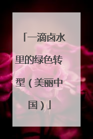 一滴卤水里的绿色转型（美丽中国）