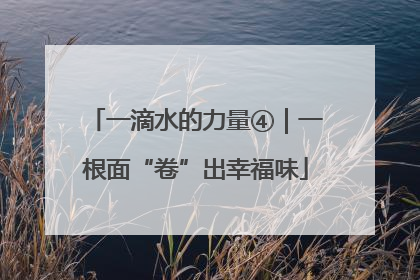 一滴水的力量④｜一根面“卷”出幸福味