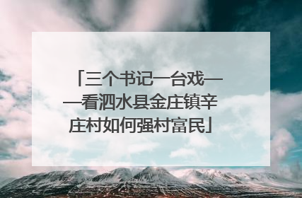 三个书记一台戏——看泗水县金庄镇辛庄村如何强村富民