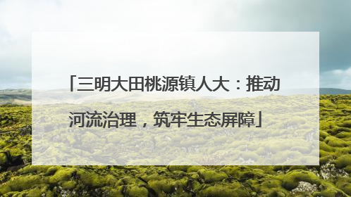三明大田桃源镇人大：推动河流治理，筑牢生态屏障