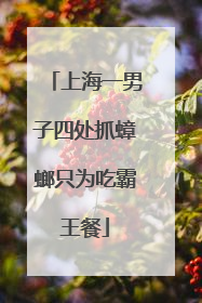 上海一男子四处抓蟑螂只为吃霸王餐