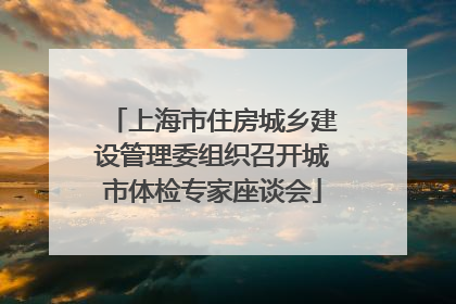 上海市住房城乡建设管理委组织召开城市体检专家座谈会