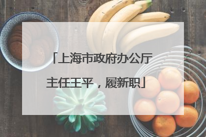 上海市政府办公厅主任王平，履新职