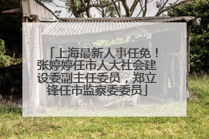 上海最新人事任免！张婷婷任市人大社会建设委副主任委员，郑立锋任市监察委委员