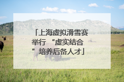 上海虚拟滑雪赛举行 “虚实结合”培养后备人才