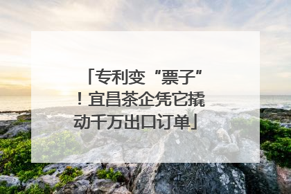 专利变“票子”！宜昌茶企凭它撬动千万出口订单