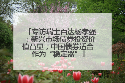 专访瑞士百达杨孝强：新兴市场债券投资价值凸显，中国债券适合作为“稳定器”