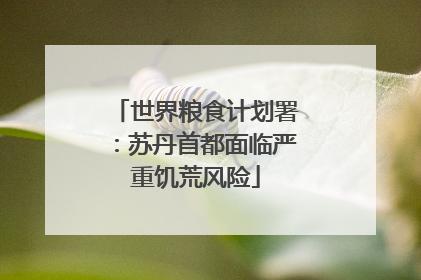 世界粮食计划署：苏丹首都面临严重饥荒风险