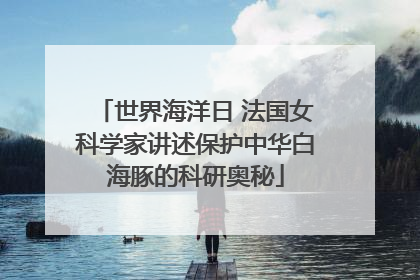 世界海洋日 法国女科学家讲述保护中华白海豚的科研奥秘
