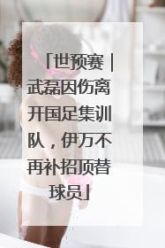 世预赛｜武磊因伤离开国足集训队，伊万不再补招顶替球员