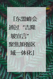 东盟峰会通过“吉隆坡宣言” 聚焦加强区域一体化