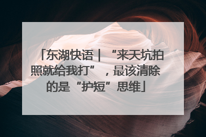 东湖快语｜“来天坑拍照就给我打”，最该清除的是“护短”思维