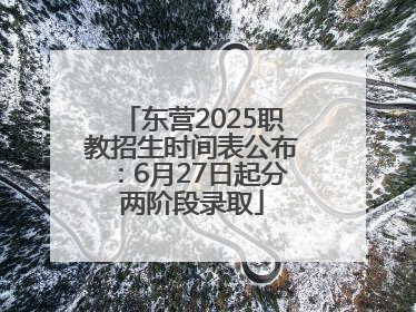 东营2025职教招生时间表公布：6月27日起分两阶段录取