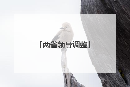 两省领导调整