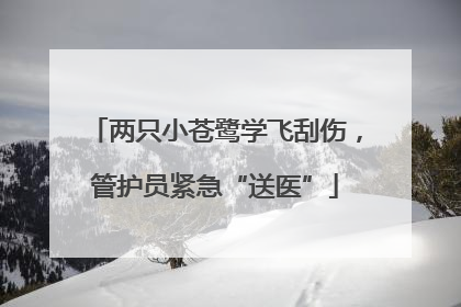 两只小苍鹭学飞刮伤，管护员紧急“送医”