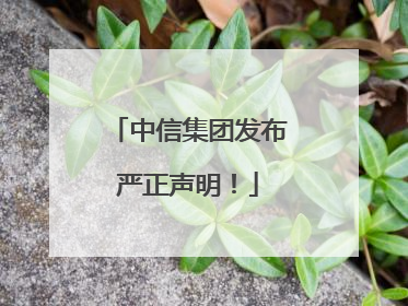 中信集团发布严正声明！