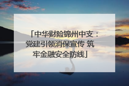 中华财险锦州中支：党建引领消保宣传 筑牢金融安全防线