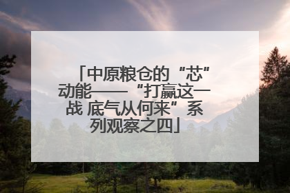 中原粮仓的“芯”动能——“打赢这一战 底气从何来”系列观察之四